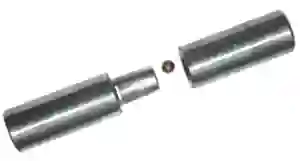 281061