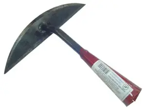 318119