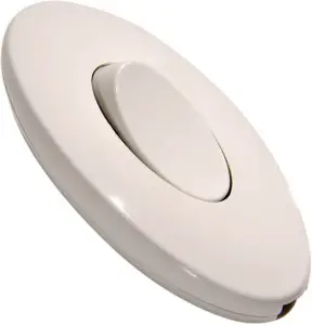 252423
