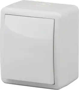 252445