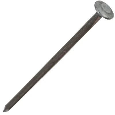 25059