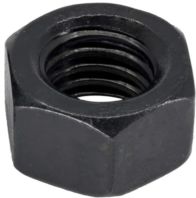 25054