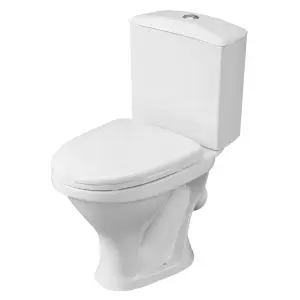 23304