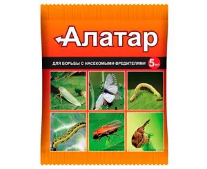 32024