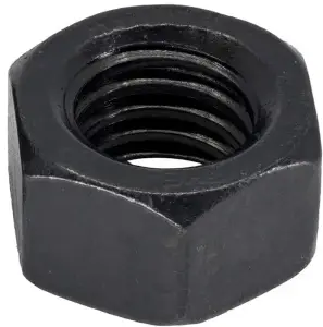 25054