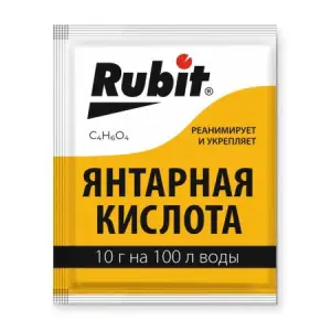 98207