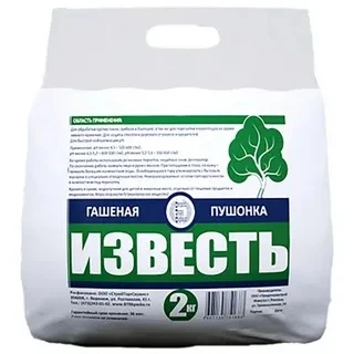 14036